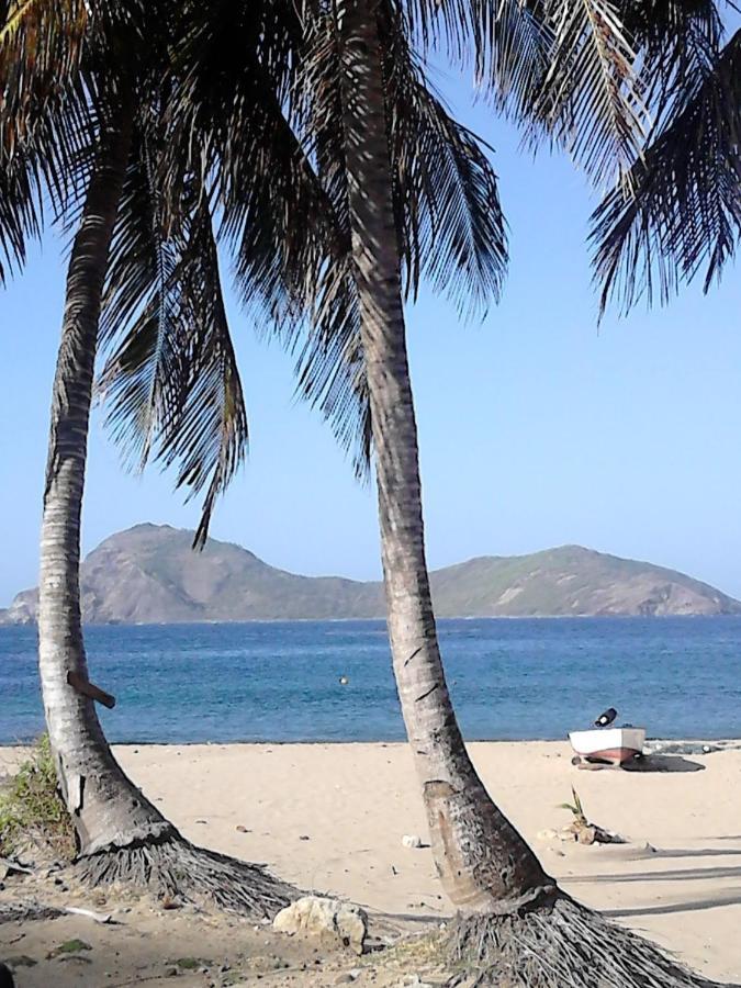 Studio 1 - Grande Anse - 4 Pers - Proche Bourg Terre-De-Haut Ngoại thất bức ảnh